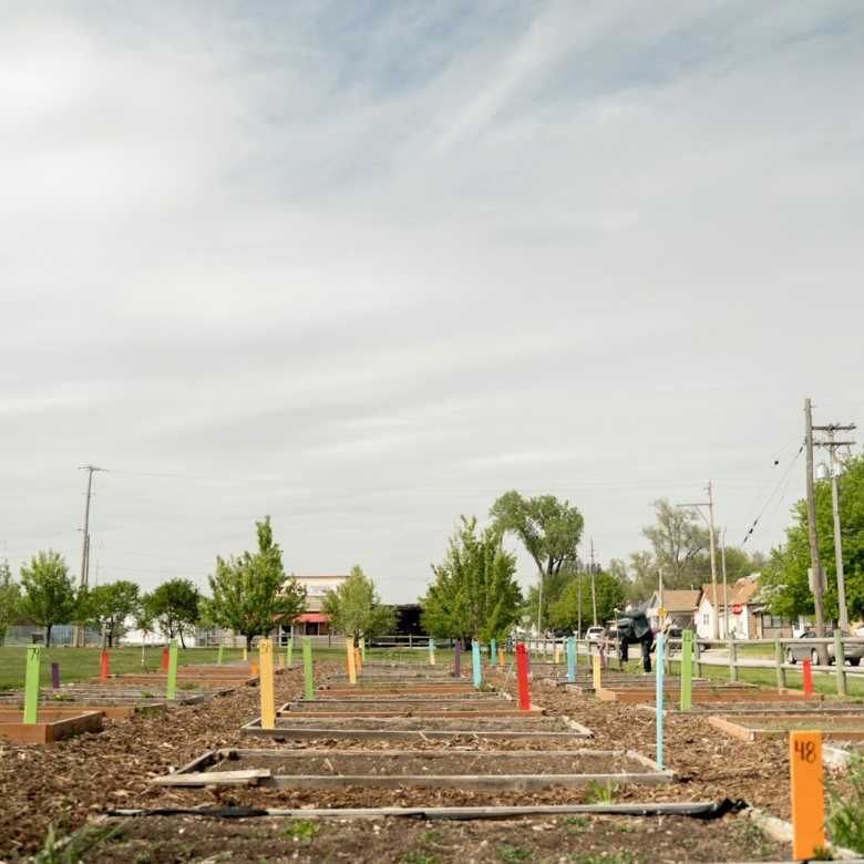 Residential Plot